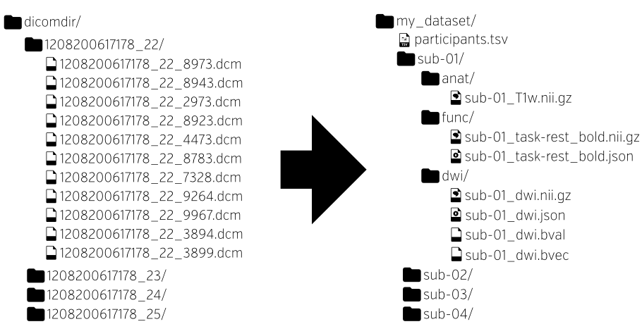 Diagram showing the contents of a DICOM dataset and its structure in BIDS.